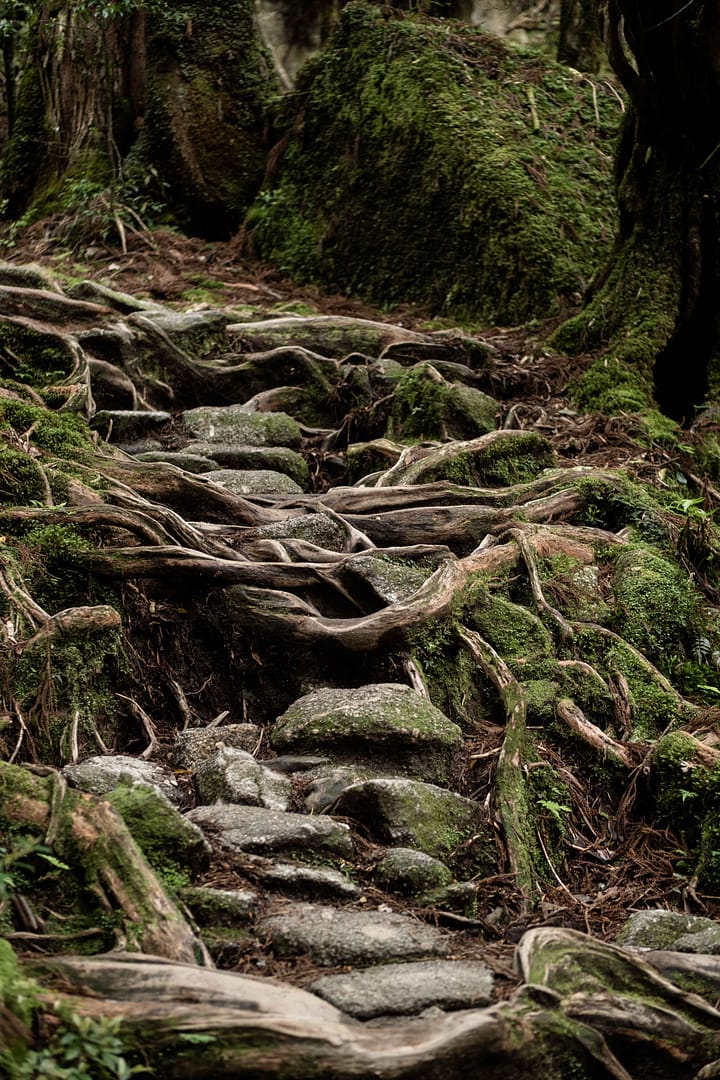 Yakushima