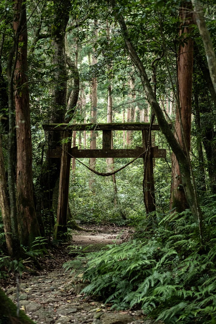 Yakushima