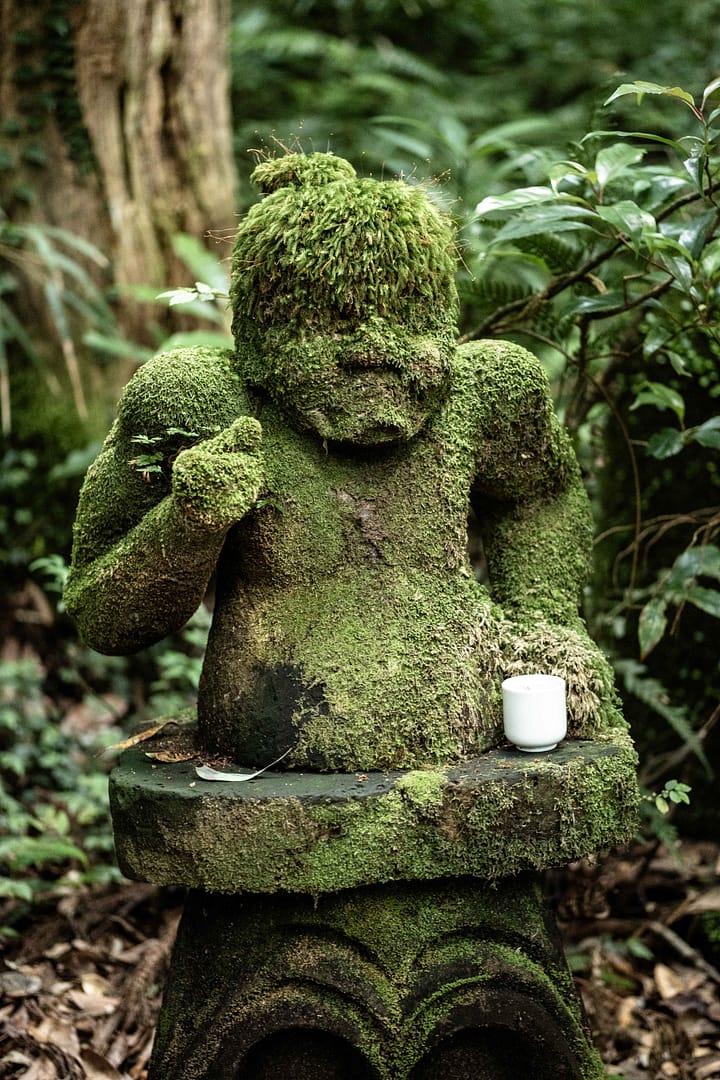 Yakushima