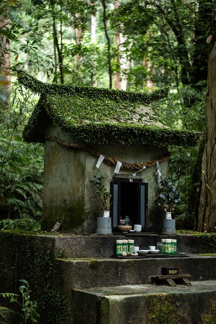 Yakushima