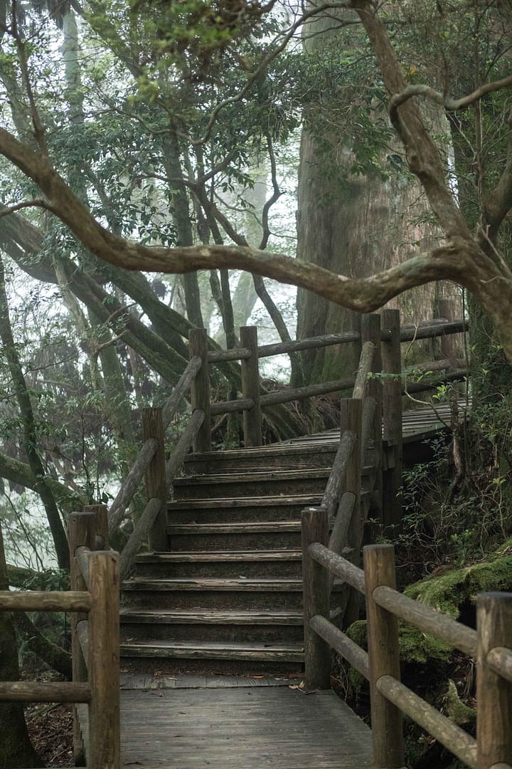 Yakushima
