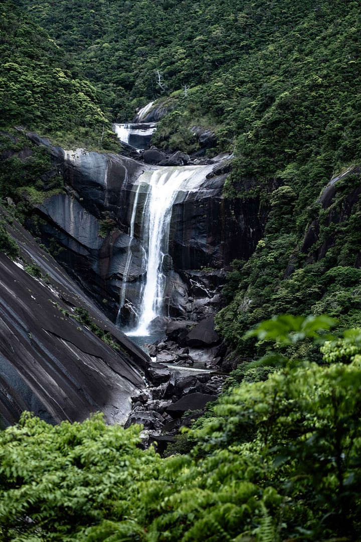 Yakushima