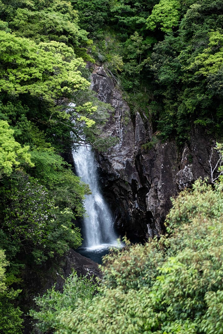Yakushima