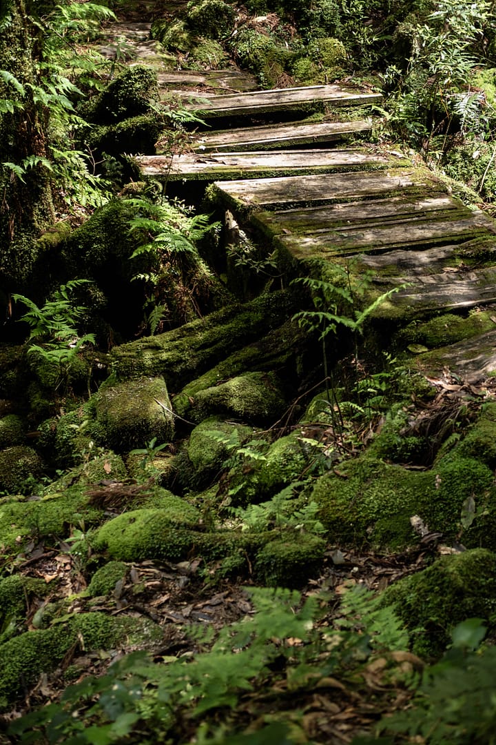 Yakushima