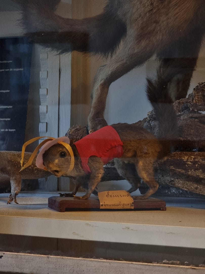 Ursulinen, Onze-Lieve-Vrouw-Waver