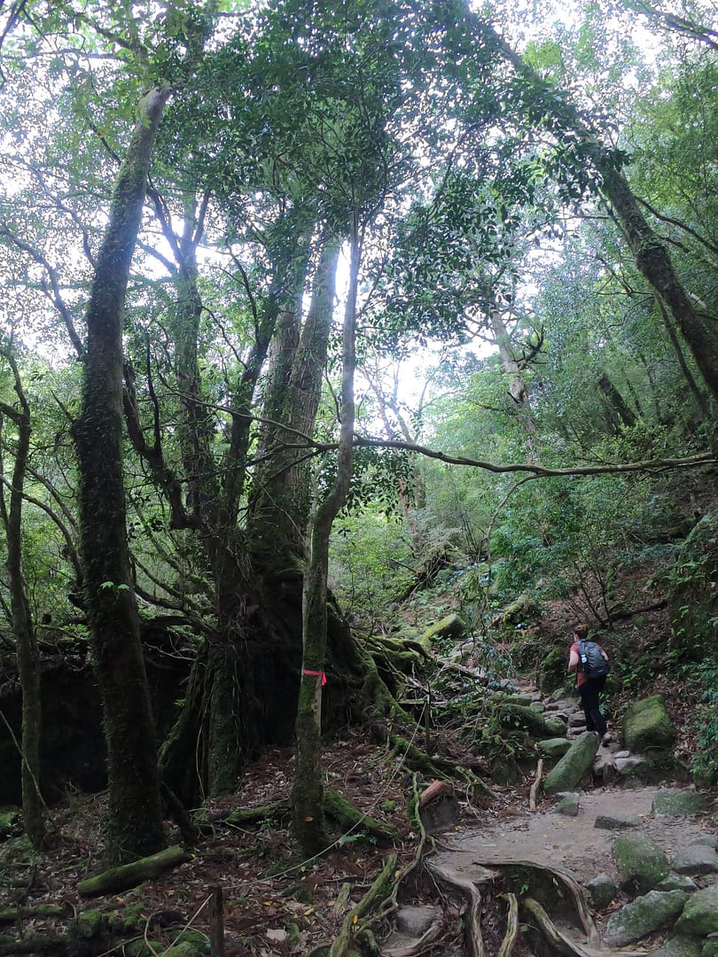 Yakushima