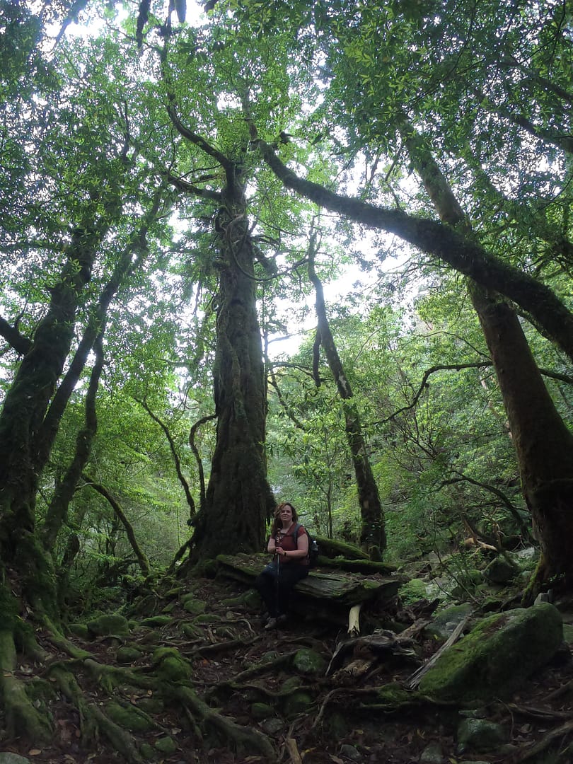 Yakushima