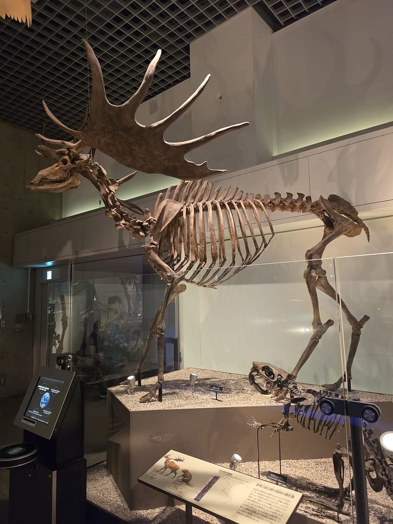 National Museum of Nature and Science