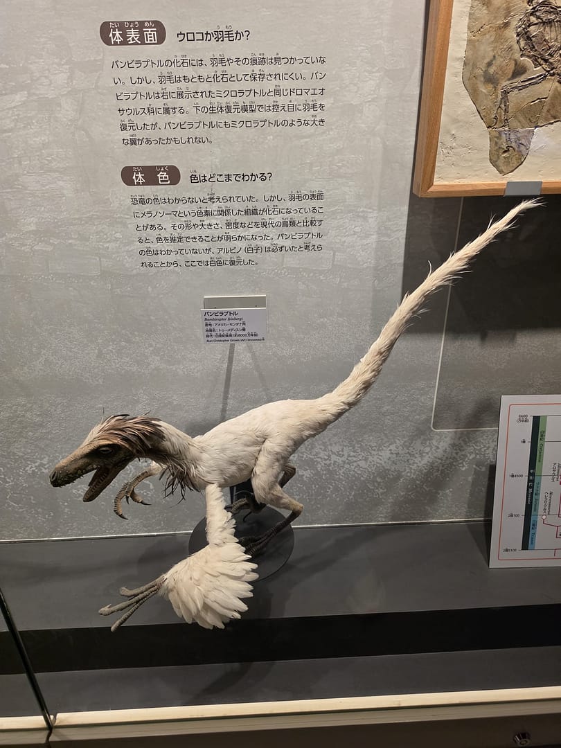 National Museum of Nature and Science