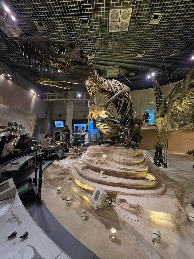 National Museum of Nature and Science