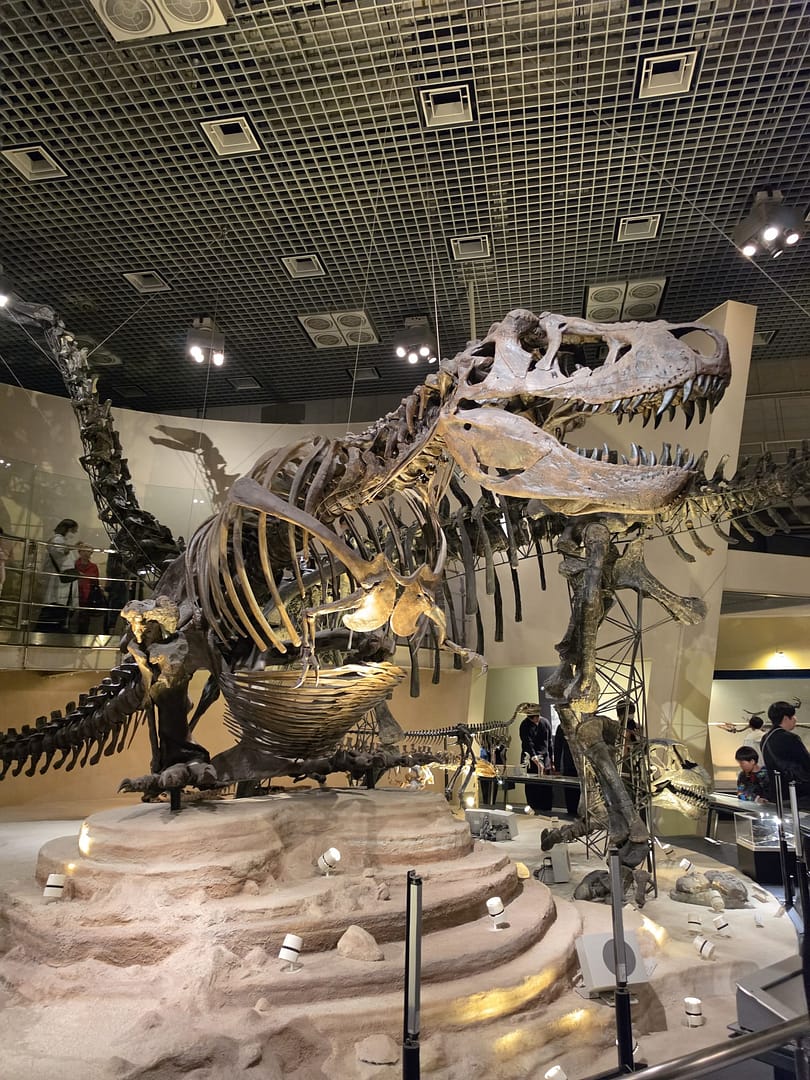 National Museum of Nature and Science