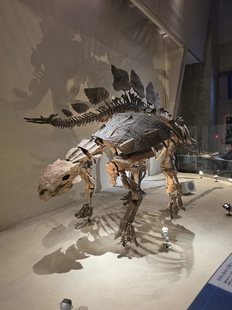 National Museum of Nature and Science