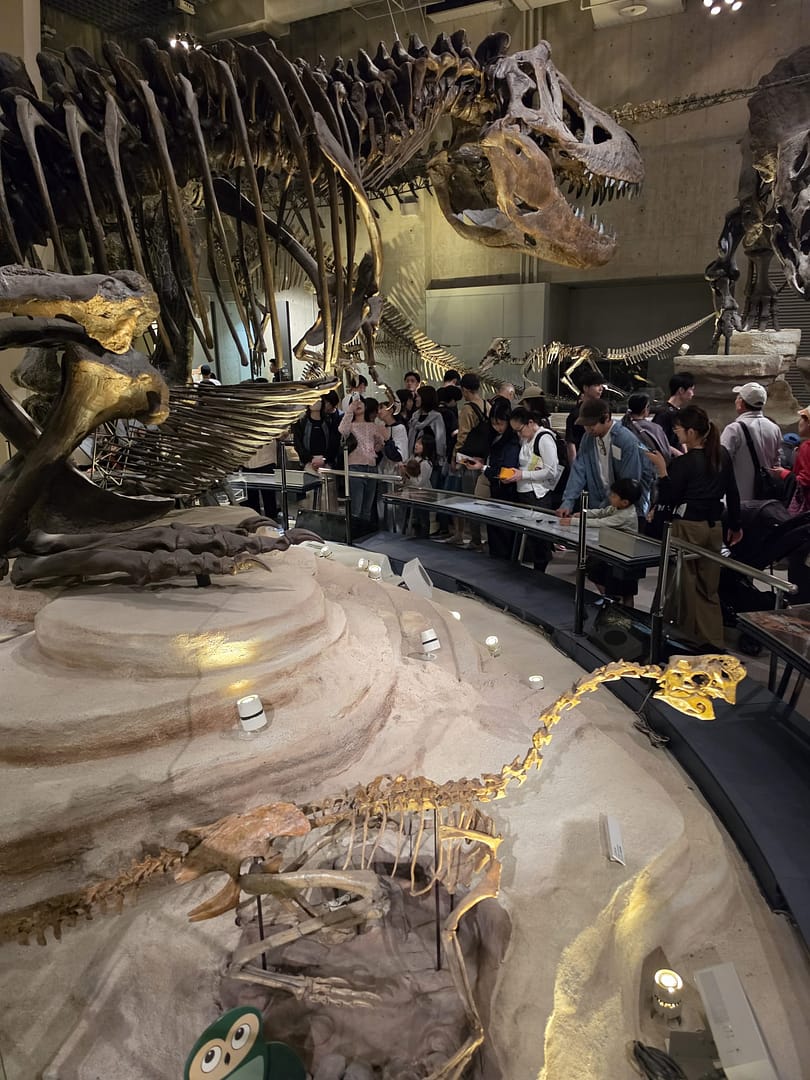 National Museum of Nature and Science
