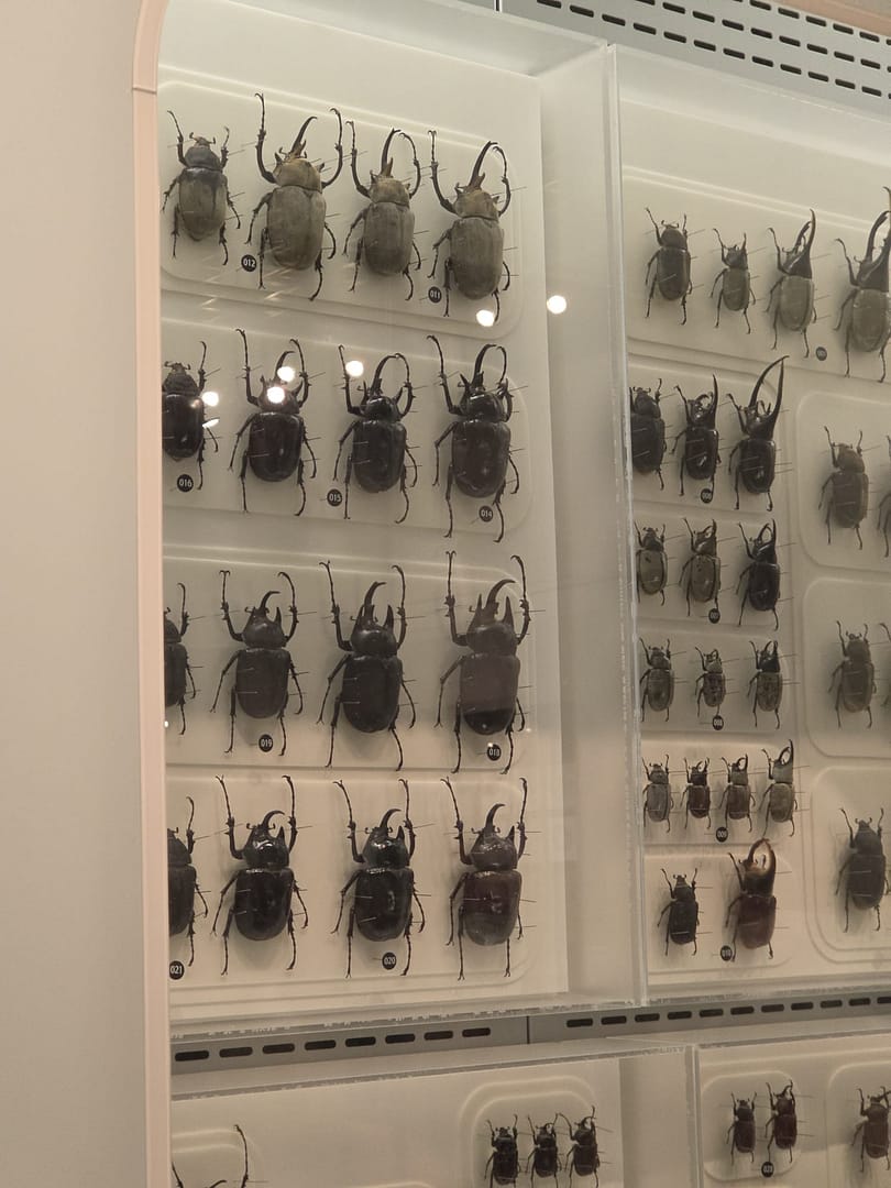 National Museum of Nature and Science
