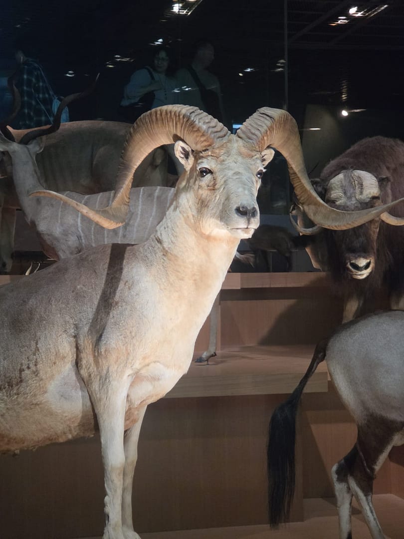 National Museum of Nature and Science