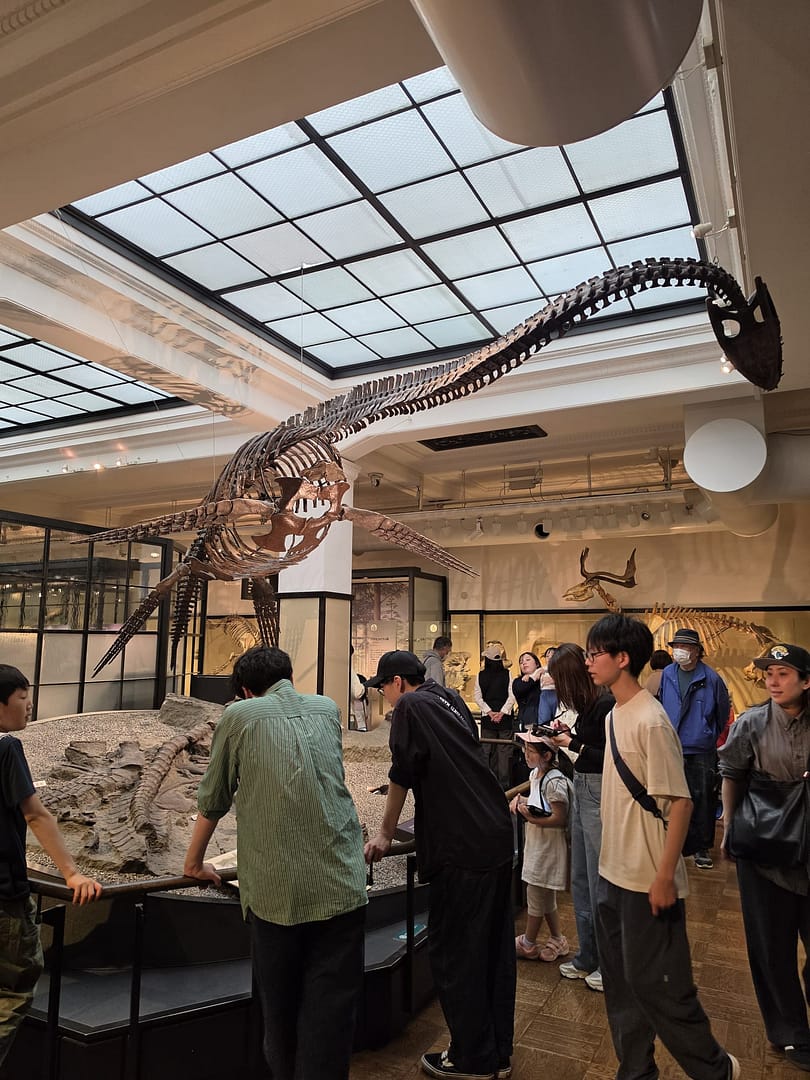 National Museum of Nature and Science