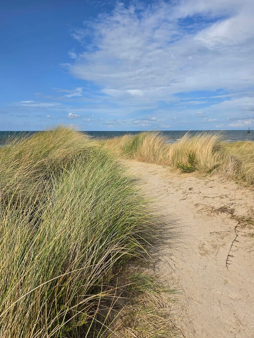 D-Day Beaches