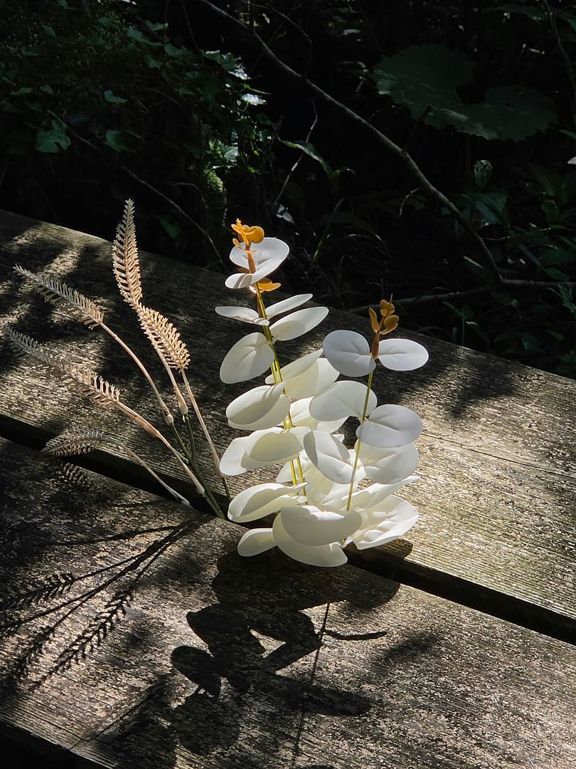 Yamabuki Spring