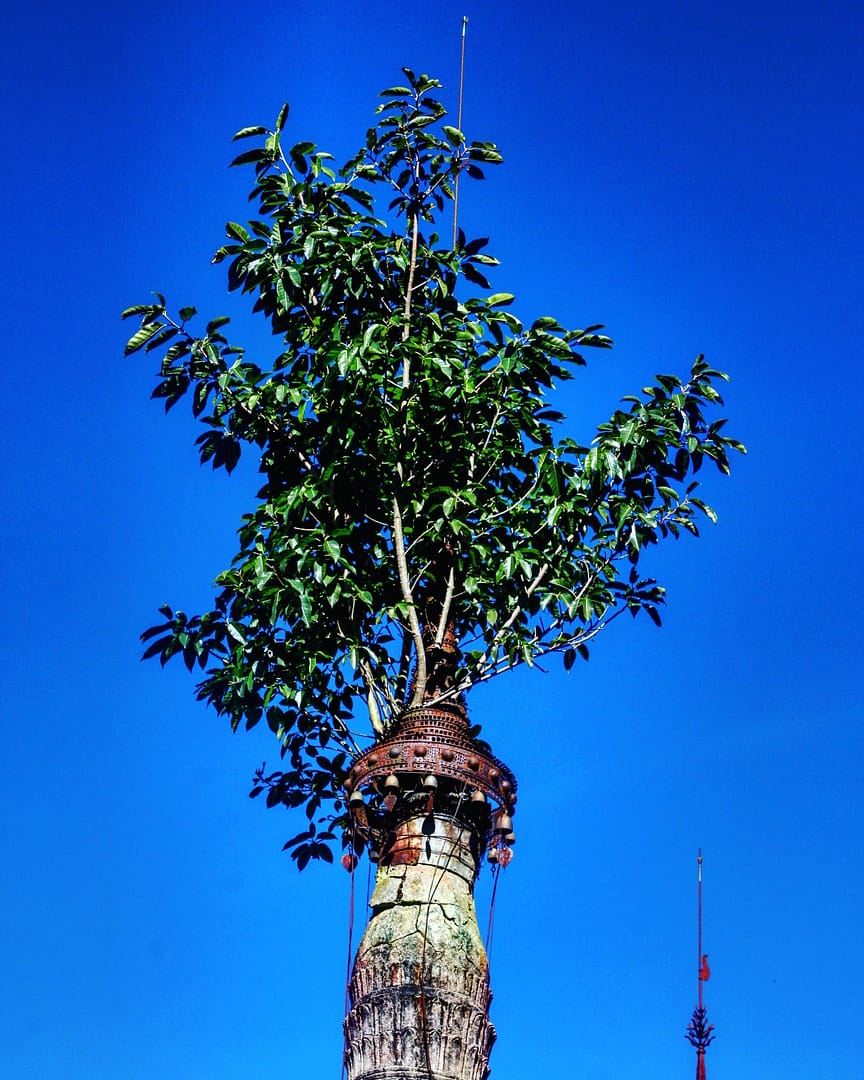 IMG_20180112_220816_866