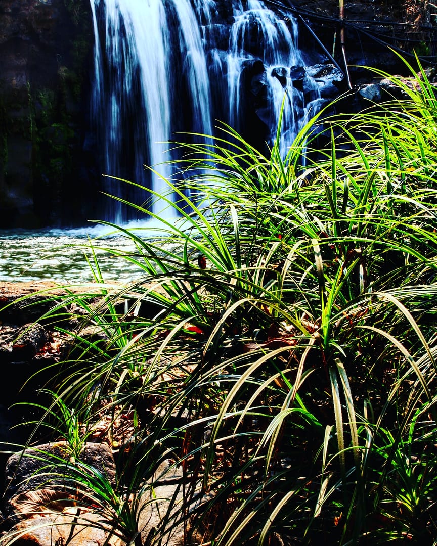 IMG_20180203_091603_835