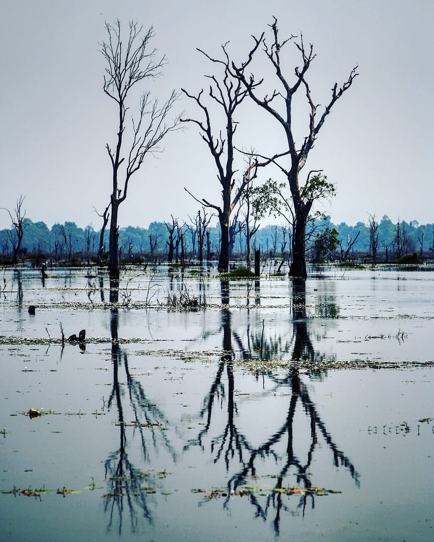 IMG_20180215_170743_251