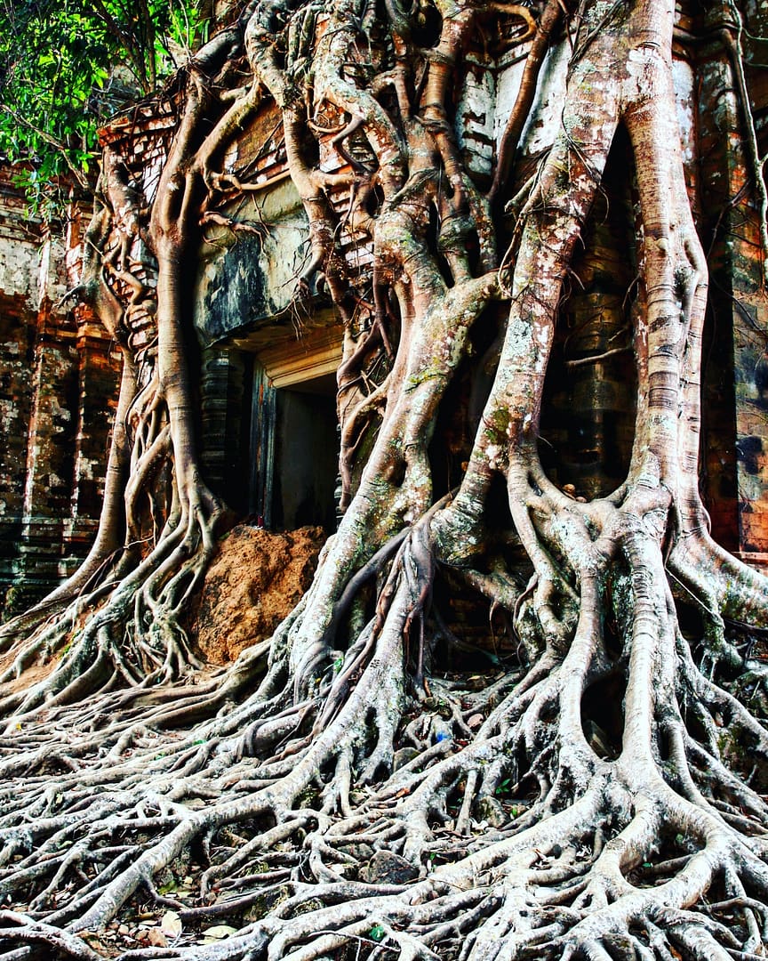 IMG_20180216_182143_641