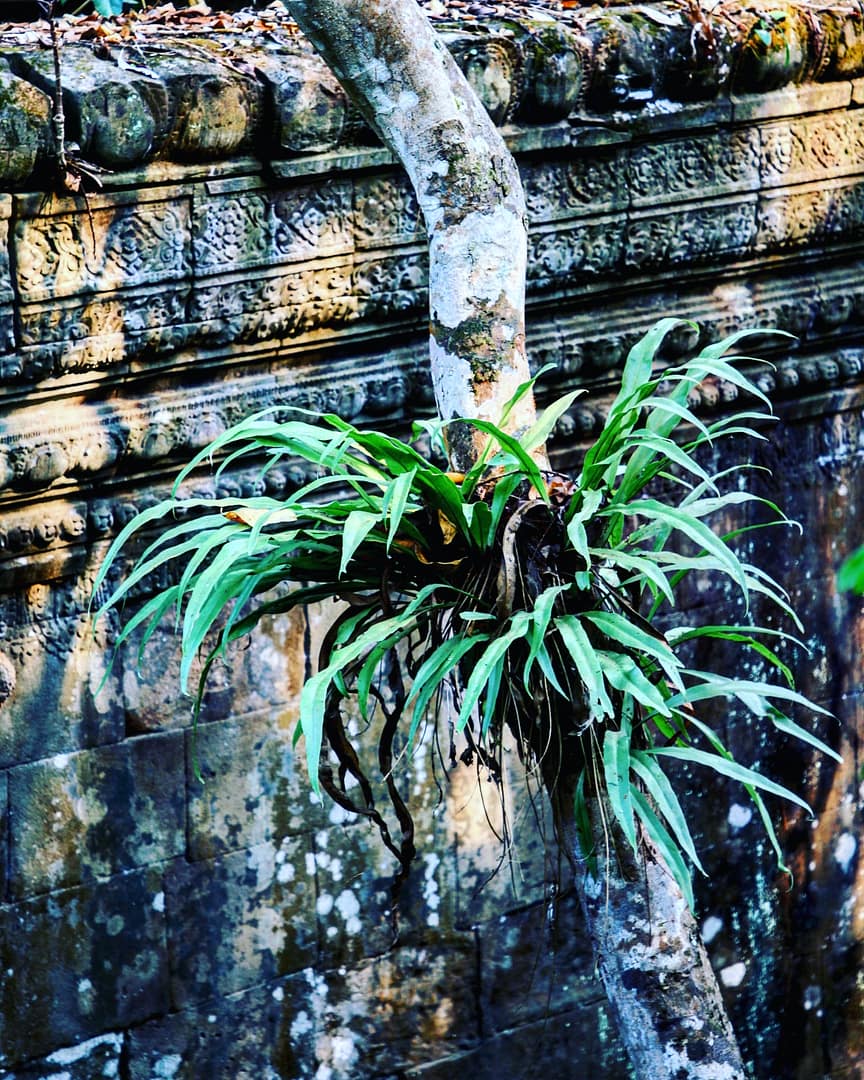 IMG_20180216_182245_493