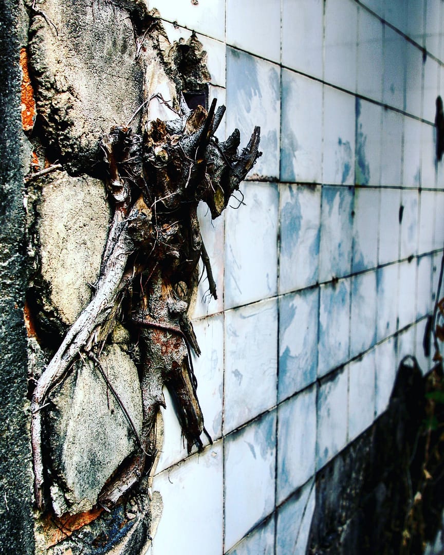 IMG_20180227_130801_473