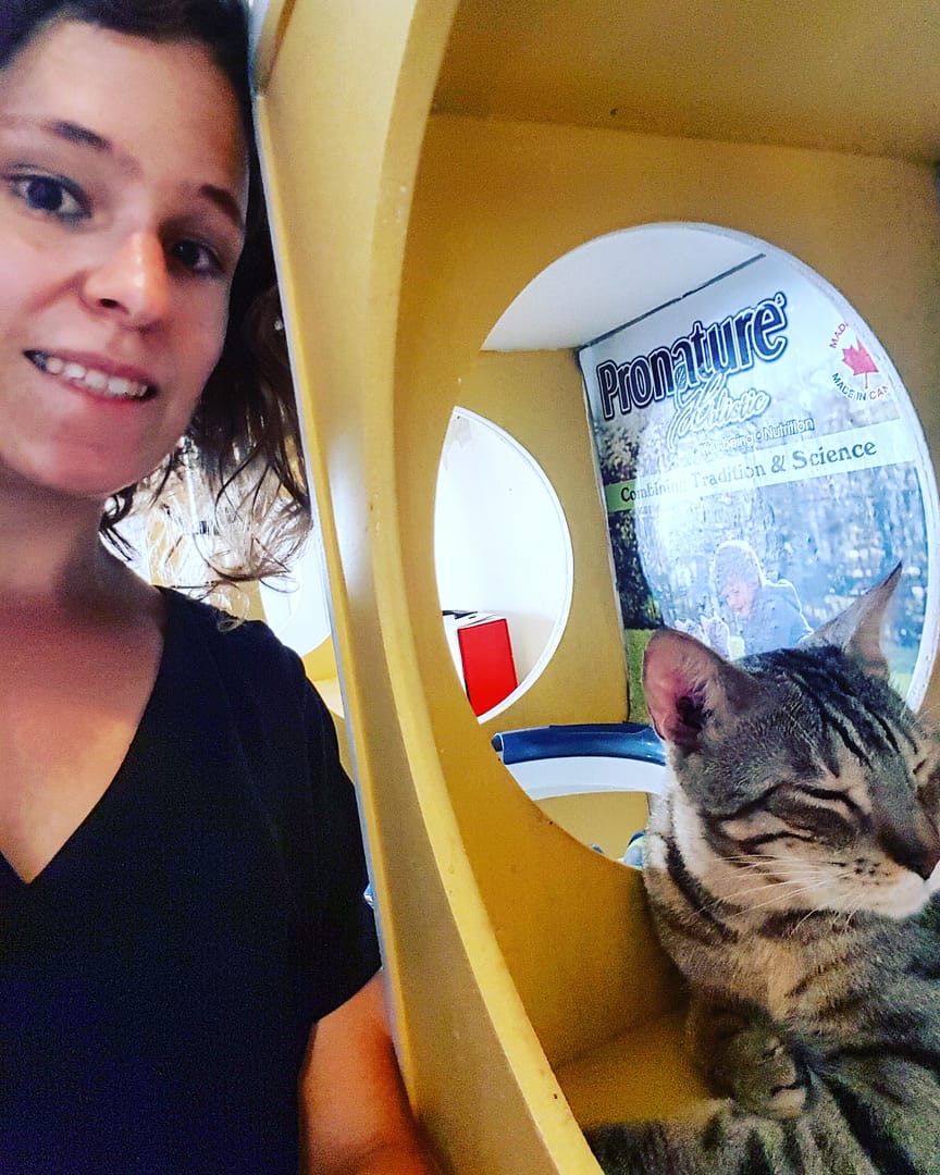 IMG_20171226_220117_536