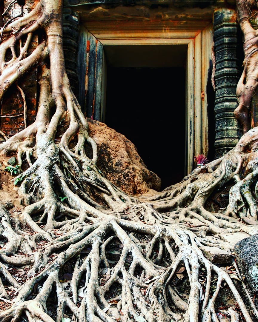 IMG_20180216_181854_673