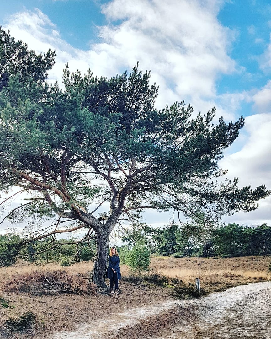 Kalmthoutse Heide