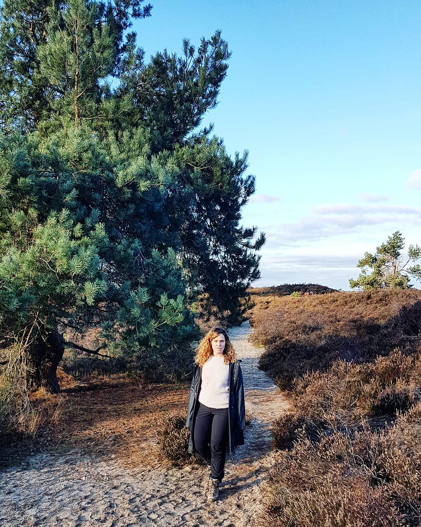 Kalmthoutse Heide