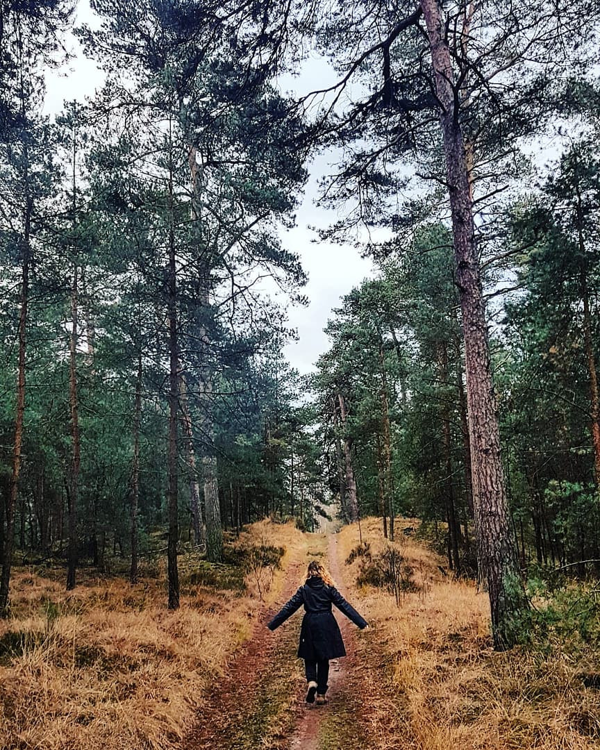 Kalmthoutse Heide